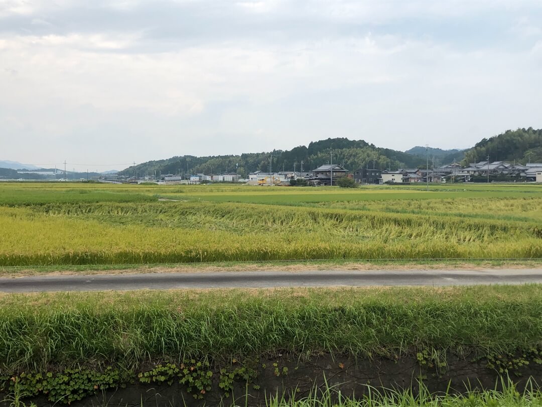 酒蔵の周りののどかな田園風景