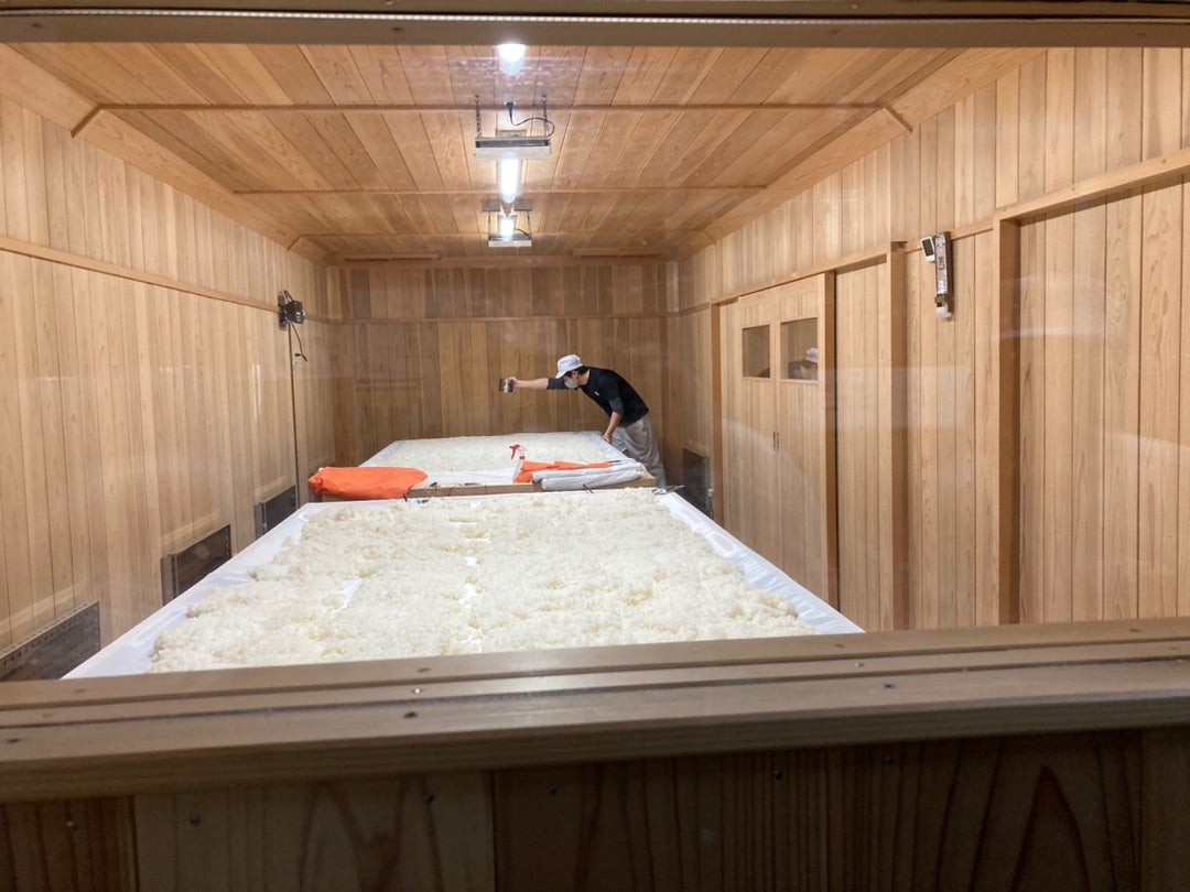 写真：新しい麹を造っている最中