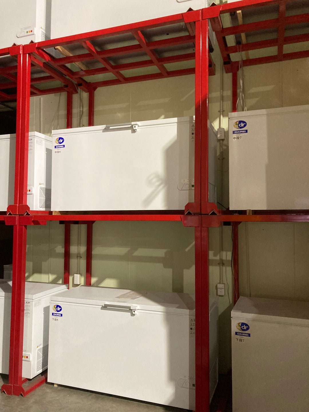 写真：冷凍保存している貯蔵用スペース
