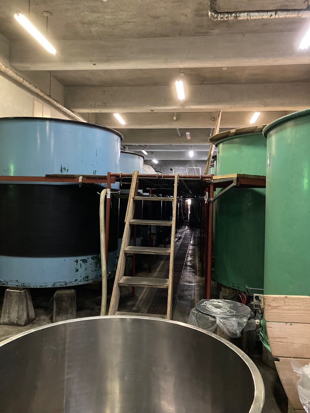 写真：貯蔵用の冷蔵庫