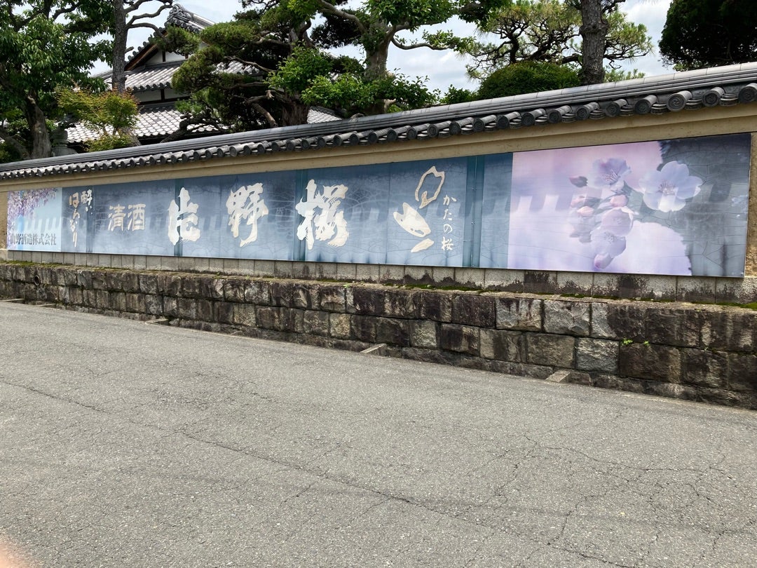 写真：山野酒造さん