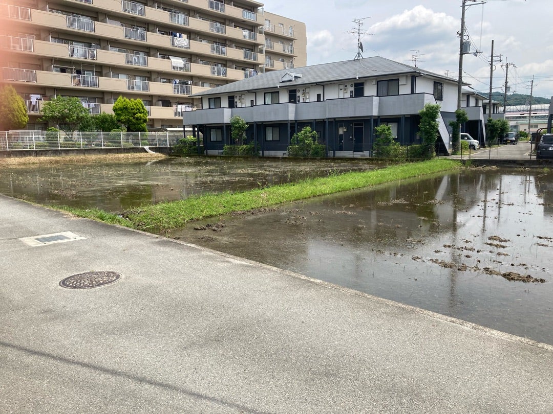 写真：田植えを待つたんぼ