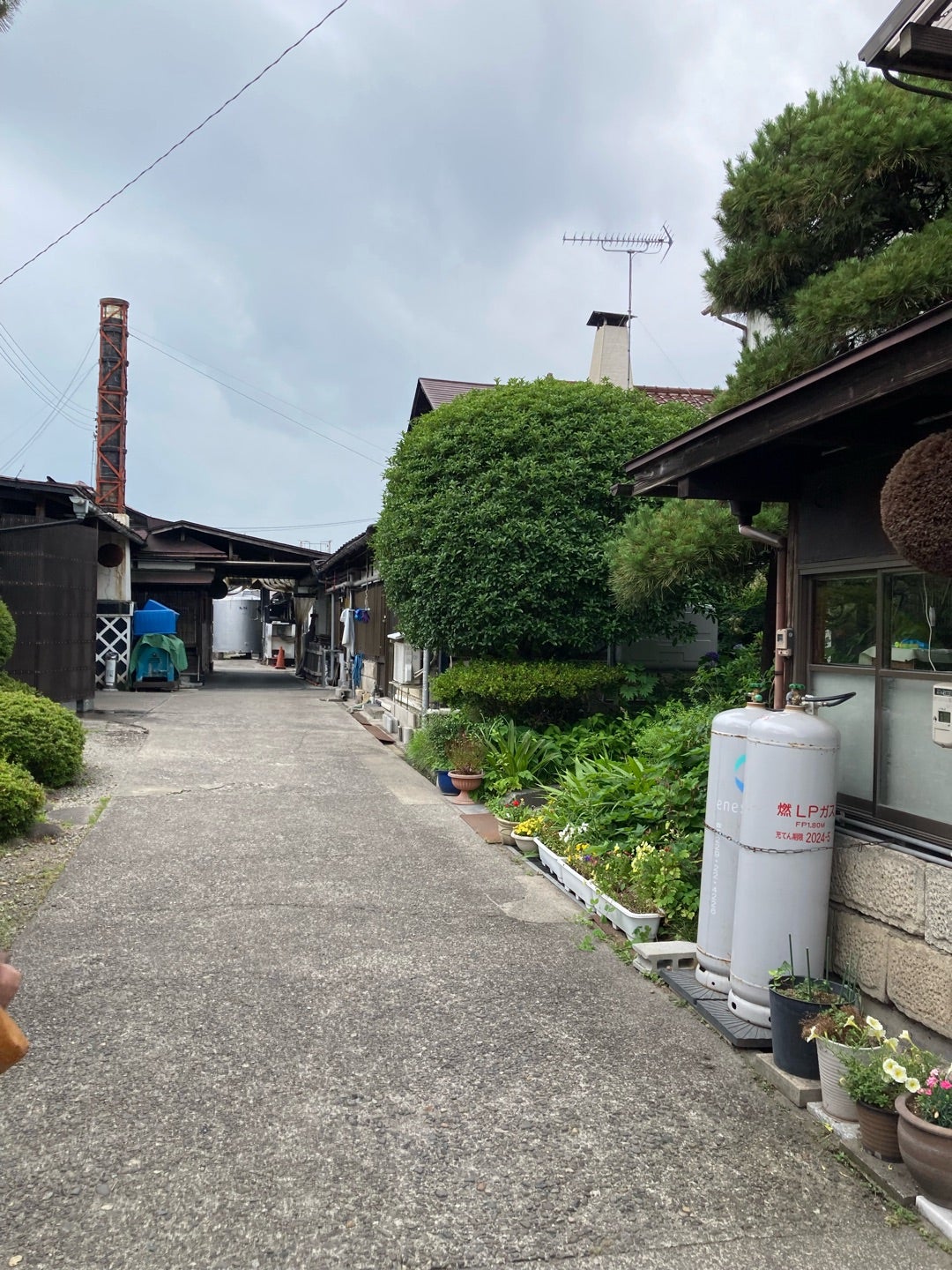 写真：間口が狭く、奥が長い