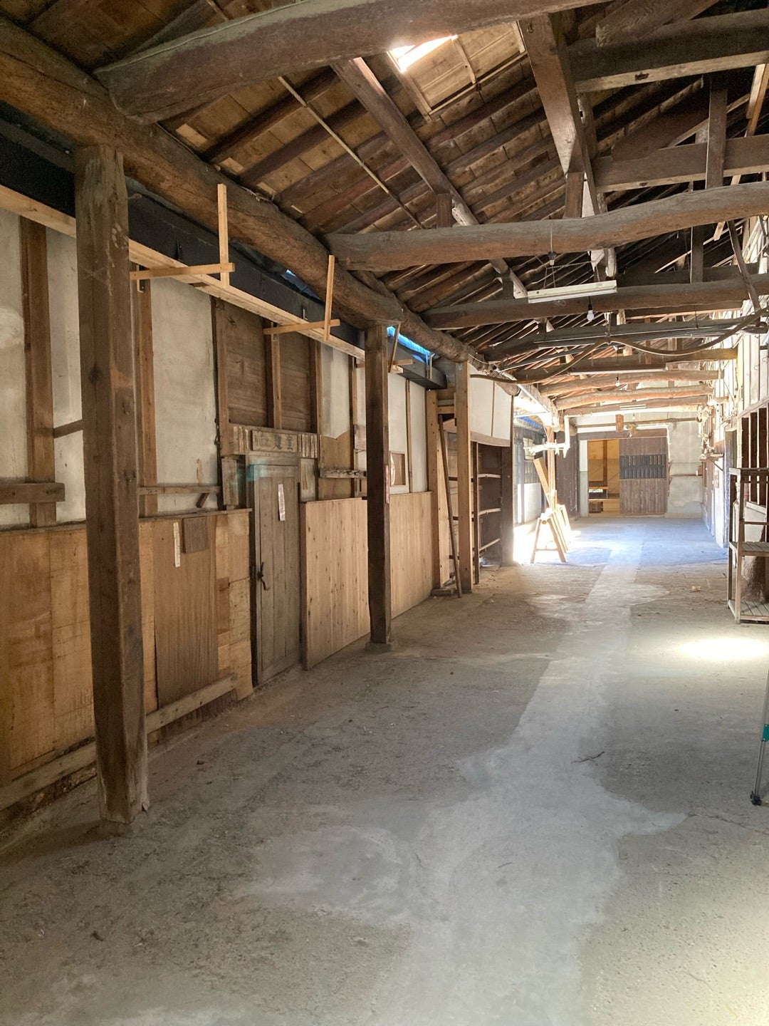 写真：光の入り方がエモい